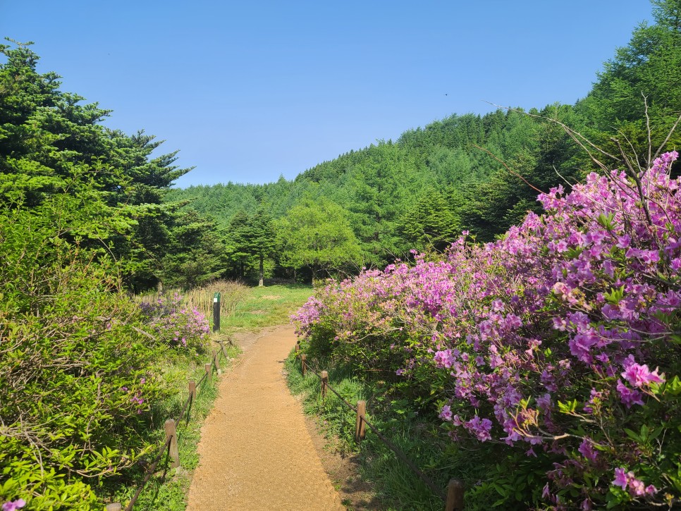흑약 100대 지리산 바라봉 최단 등산코스 4