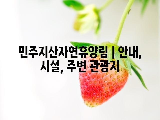 랜덤223