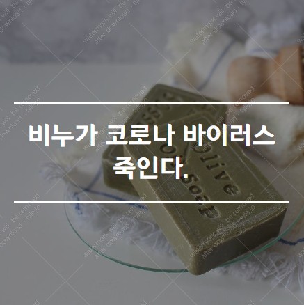  코로나19 바이러스의 천척 밝혀져...