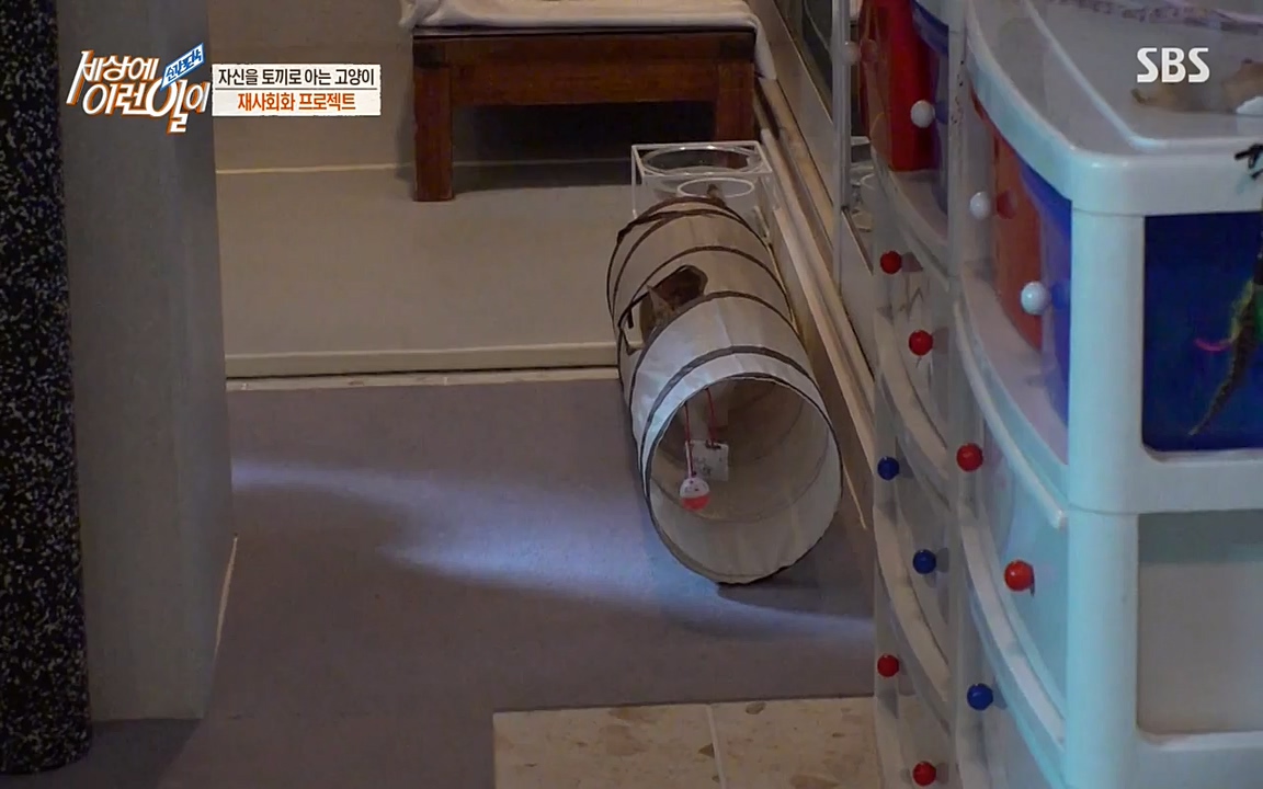 순간포착 세상에 이런일이.E1178.220504p-NEXT.mp4_20220504_180745.602.jpg