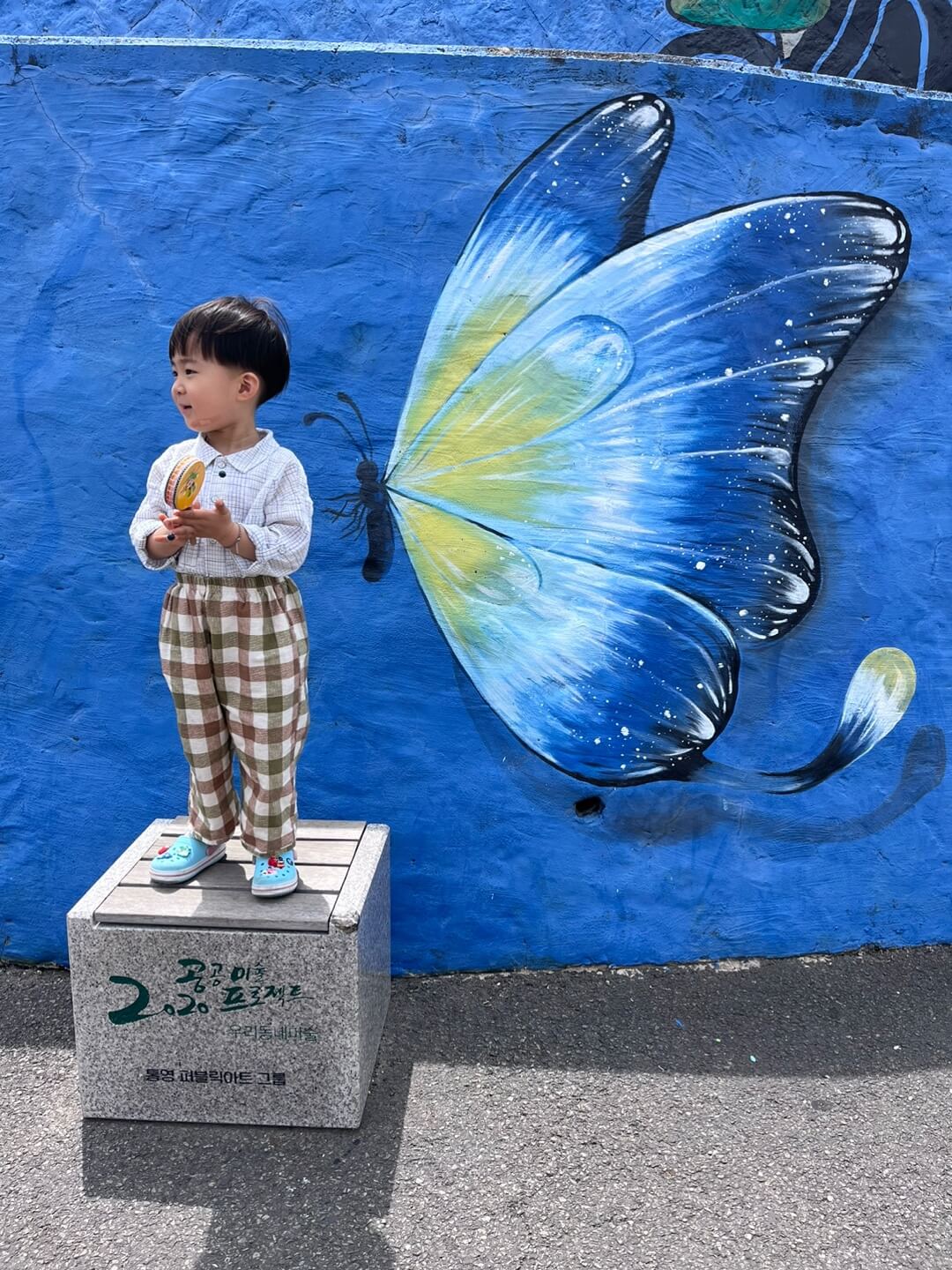 동피랑 벽화마을 나비가 그려진 벽화앞에서 찍은 저의 아들 사진입니다