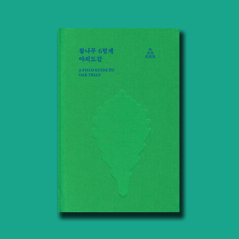 소나무 참나무 숲 이미지