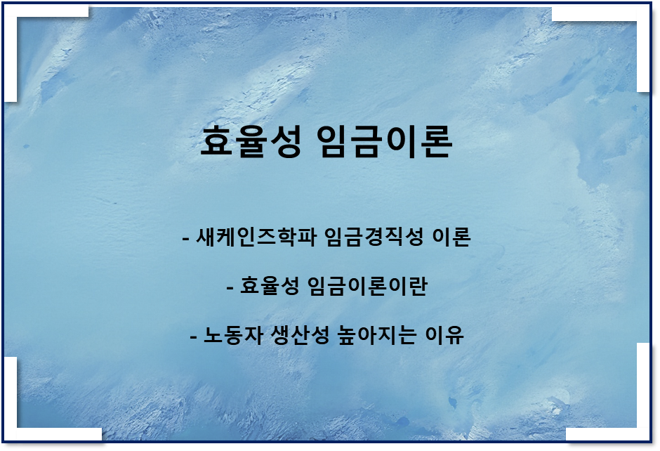  효율성 임금이론(새케인즈학파 실질임금의 경직성 이론 1)