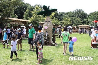 함양 산삼축제