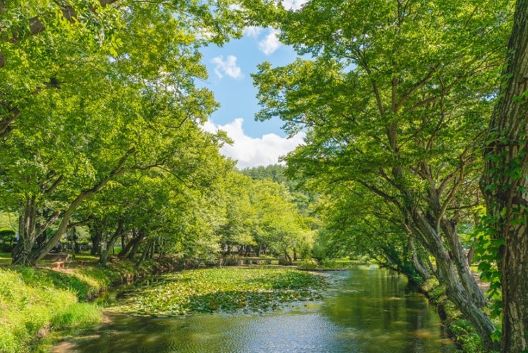 고성 가볼만한곳 베스트10 알아보자
