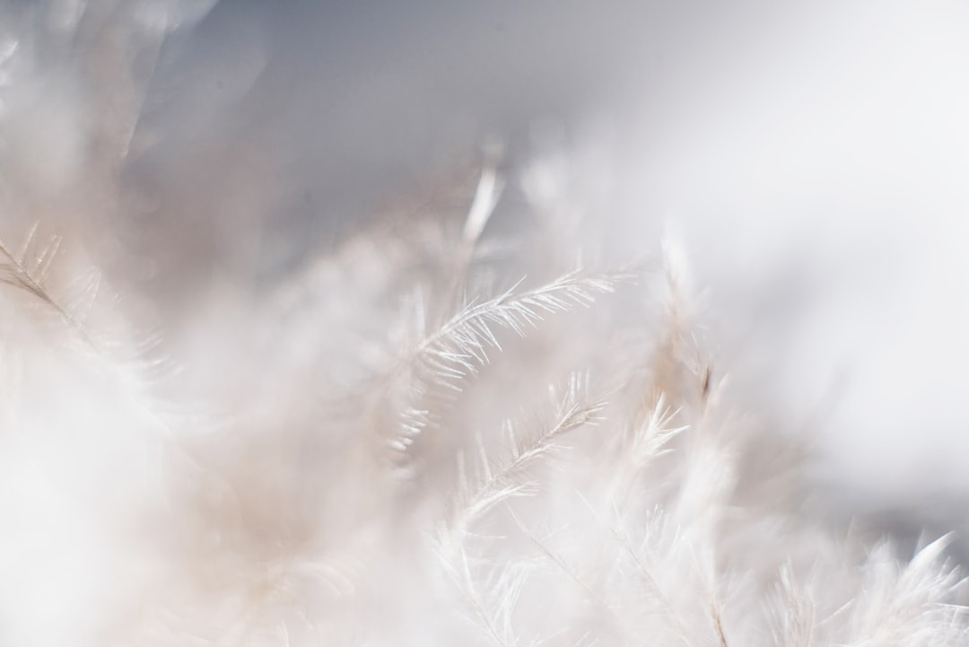 Cotton.