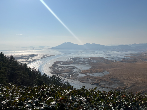나로도삼치수산 이미지