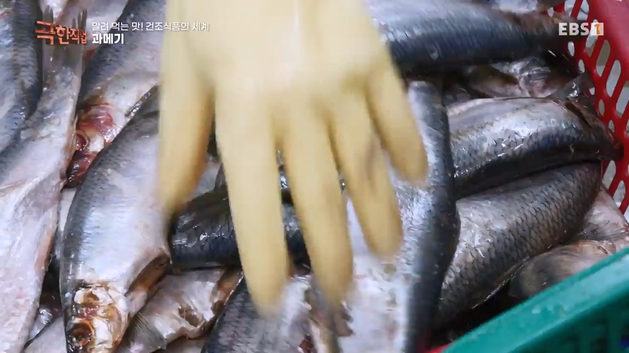 TV - 전 국민의 평생학교 EBS말려 먹는 맛! 건조식품의 세계.mp4_20231125_190719.927.jpg