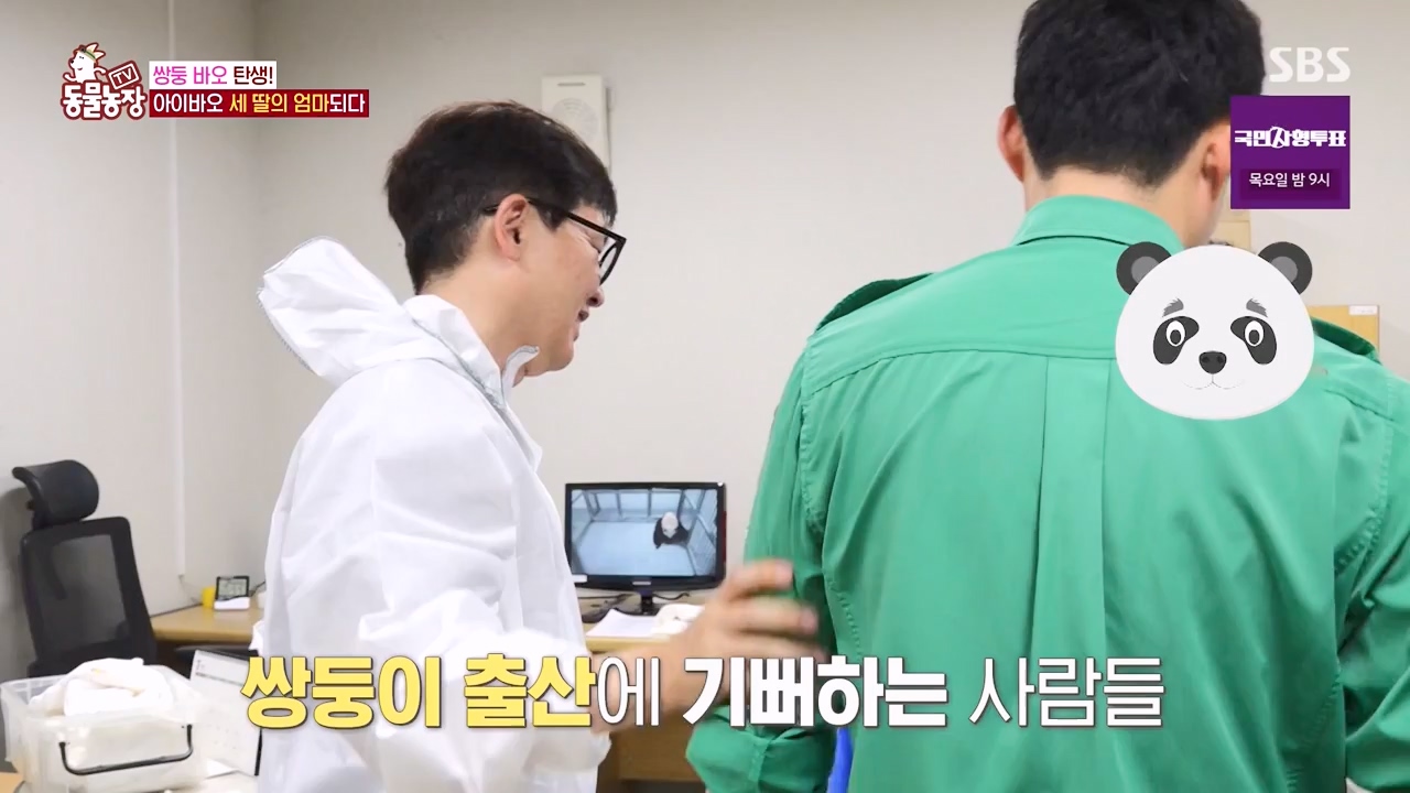 TV 동물농장.E1133.230814p-NEXT.mp4_20230813_171338.256.jpg