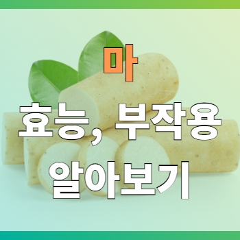  마 효능과 부작용에 대해 알아보기