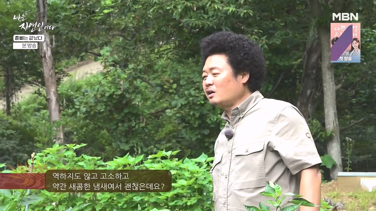 나는 자연인이다.E616.240732p-NEXT.mp4_20240801_195130.372.jpg