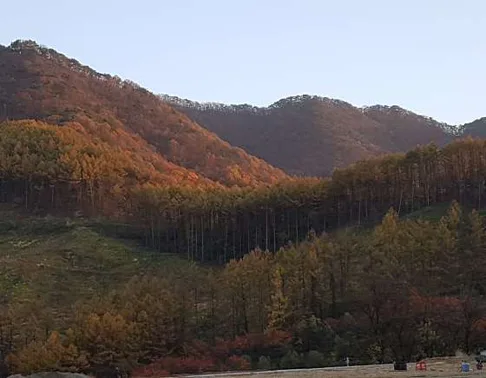 아이뜰 관광 농원