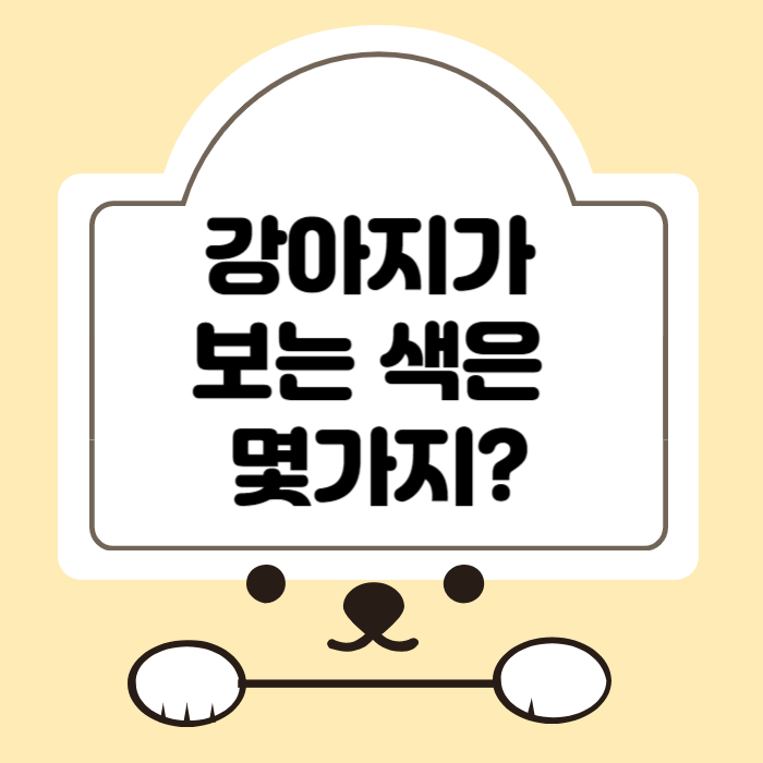 강아지가 보는 색깔은 몇가지?