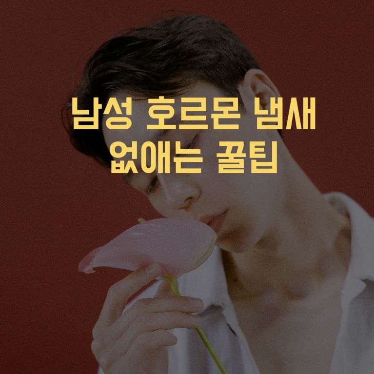  남성 호르몬 냄새 없애는 방법