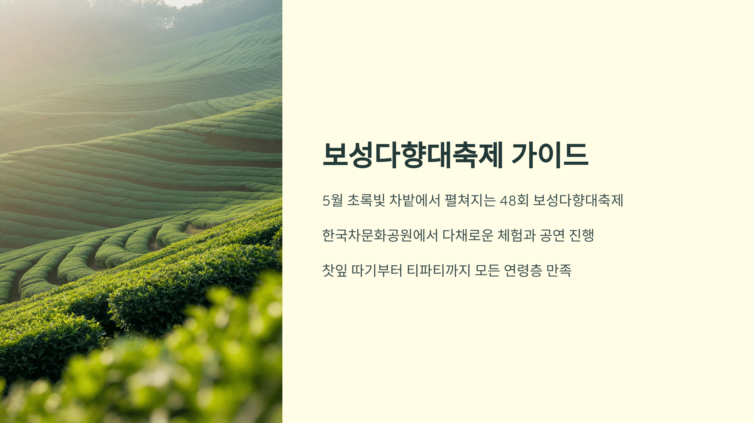 보성다향대축제로 가자! 체험·먹거리·팁까지 총정리