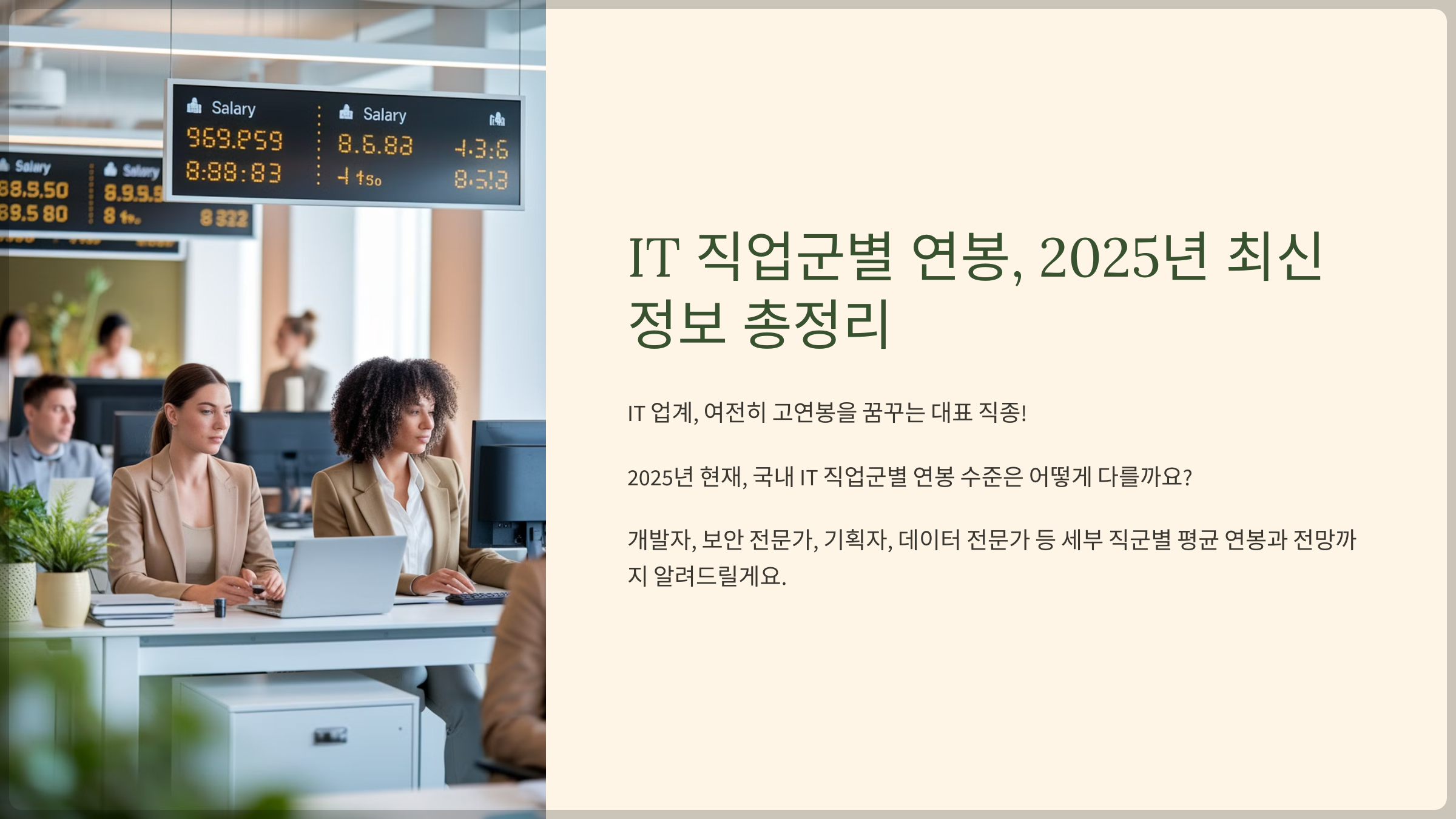 IT 직업군별 연봉, 2025년 최신 정보 총정리