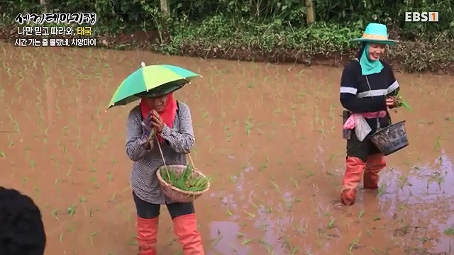 세계테마기행_한국기행 9_10.mp4_20240918_164403.038.jpg