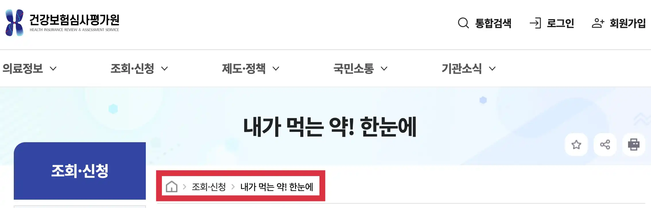 내가 먹는 약! 한눈에