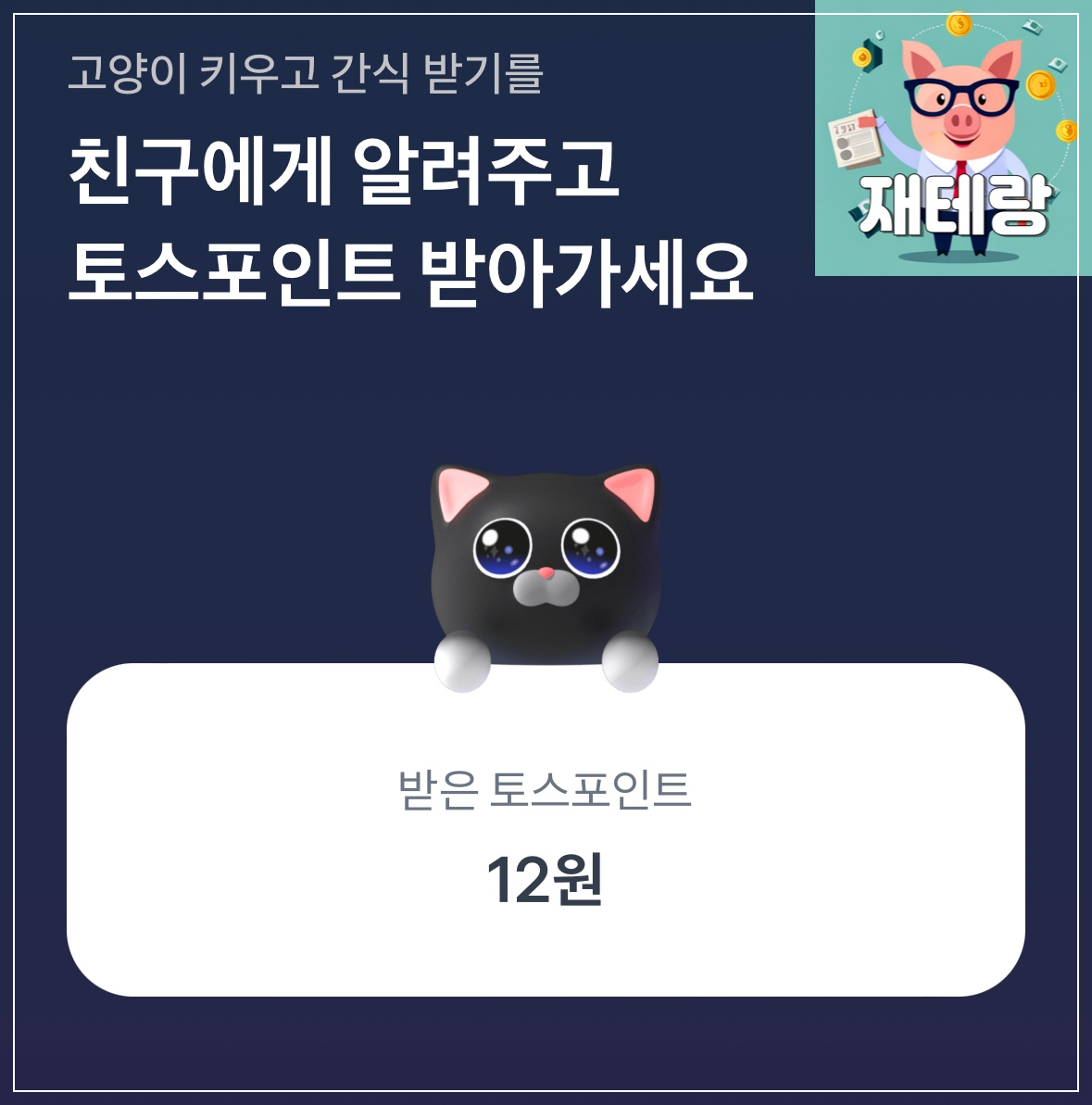 토스 고양이 키우기 공유하고 랜덤 포인트 받아가자