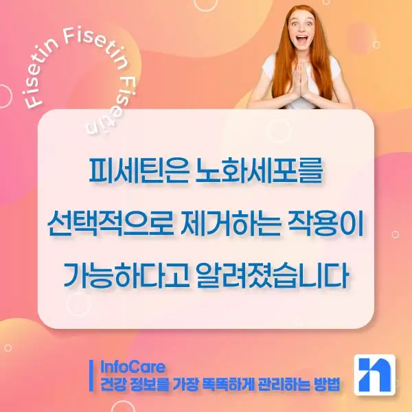 피세틴 효능 복용법
