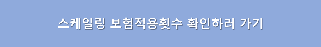 스케일링 보험적용 횟수 조회