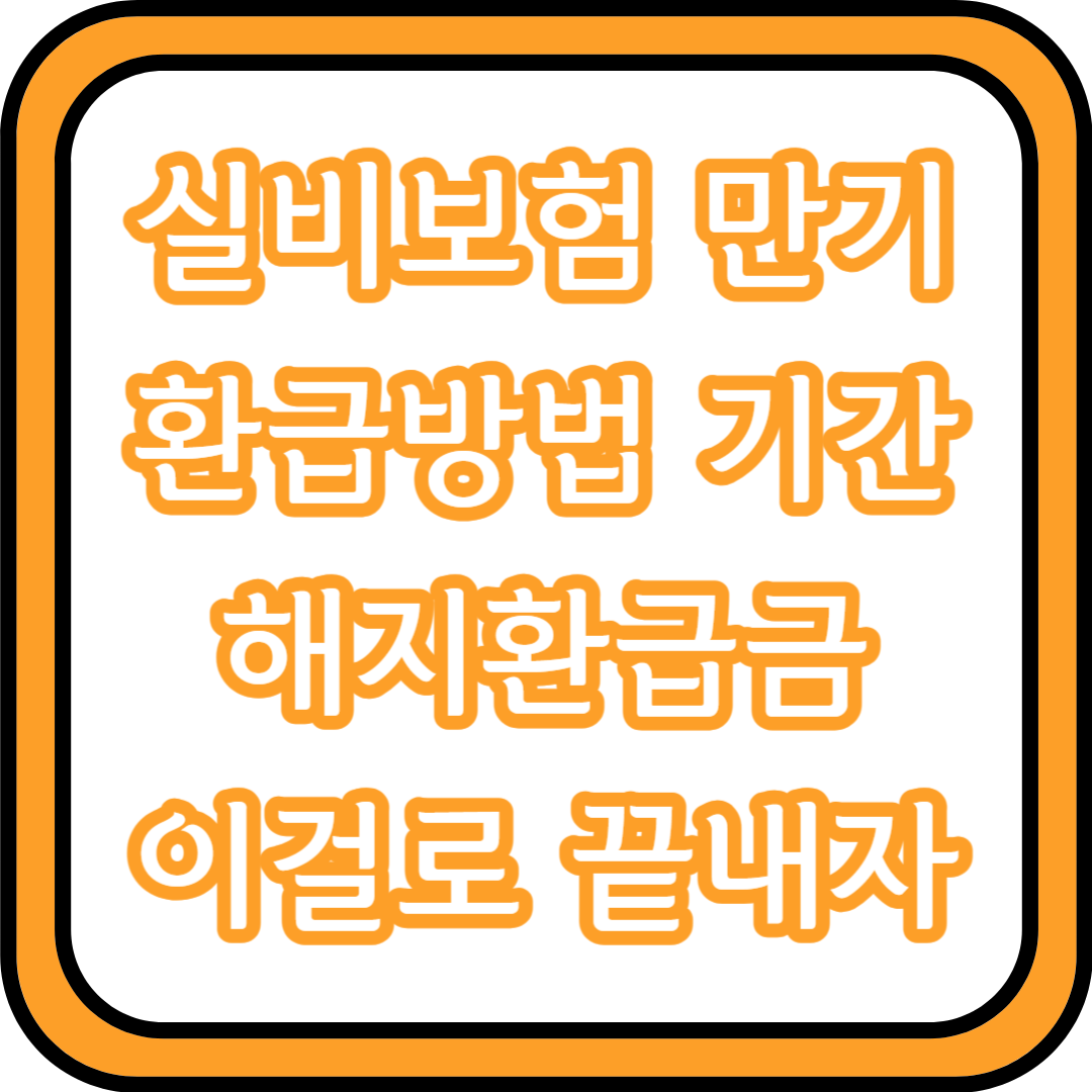  실비보험 만기 환급방법, 기간, 비율, 해지환급금 이걸로 끝내자