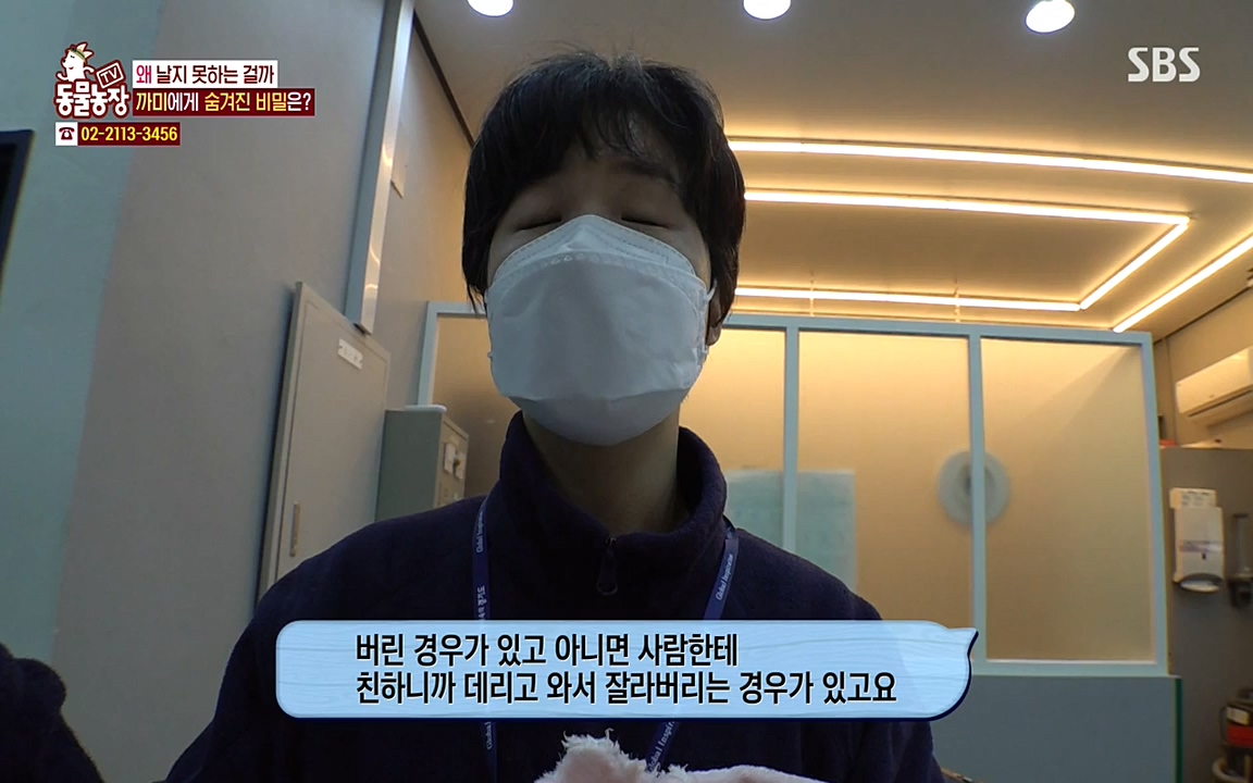 TV 동물농장.E1065.220418p-NEXT.mp4_20220417_181303.837.jpg