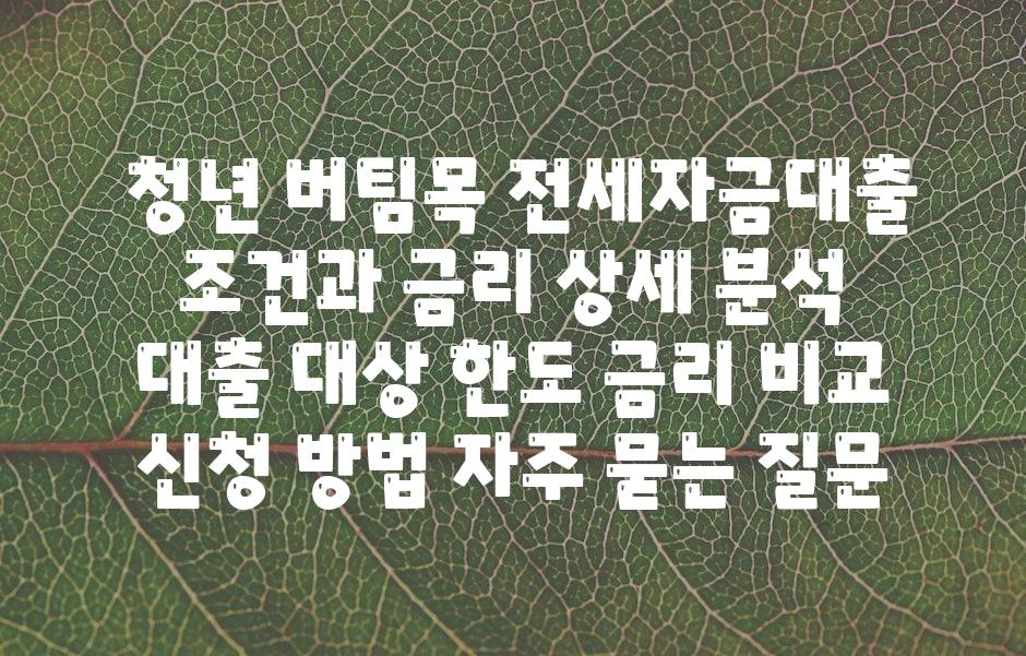  청년 버팀목 전세자금대출 조건과 금리 자세한 분석  대출 대상 한도 금리 비교 신청 방법 자주 묻는 질문