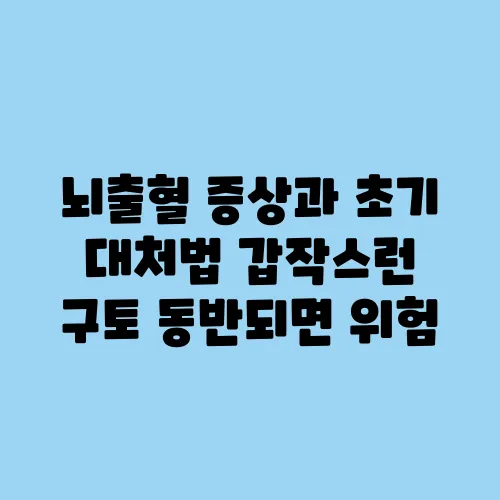 뇌출혈 증상과 초기 대처법 갑작스런 구토 동반되면 위험