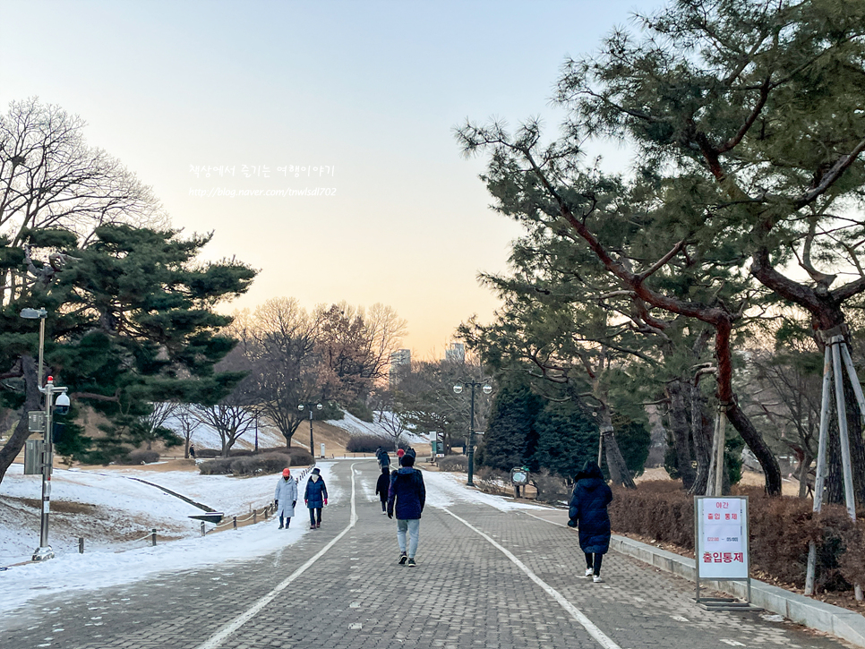 올림픽공원 나홀로나무 사진찍기 좋은곳 서울 가볼만한곳 겨울 23