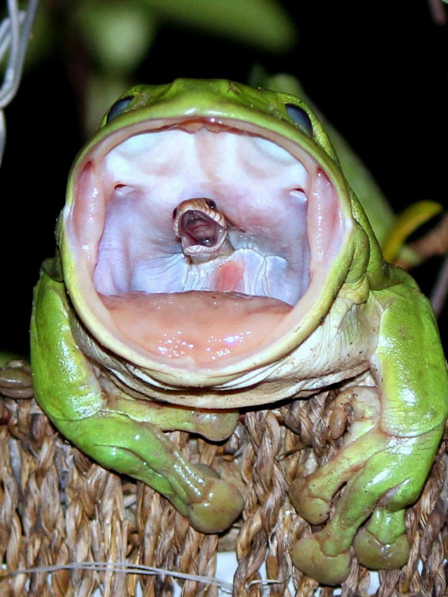 img.jpg