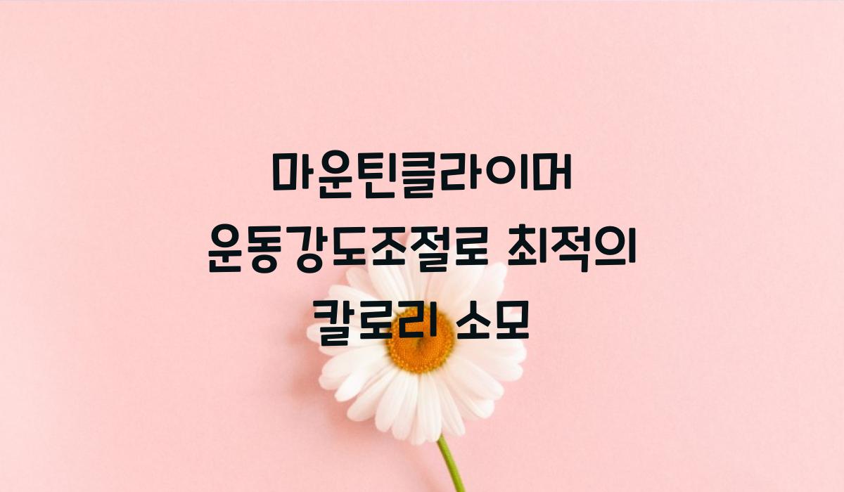 마운틴클라이머 운동강도조절