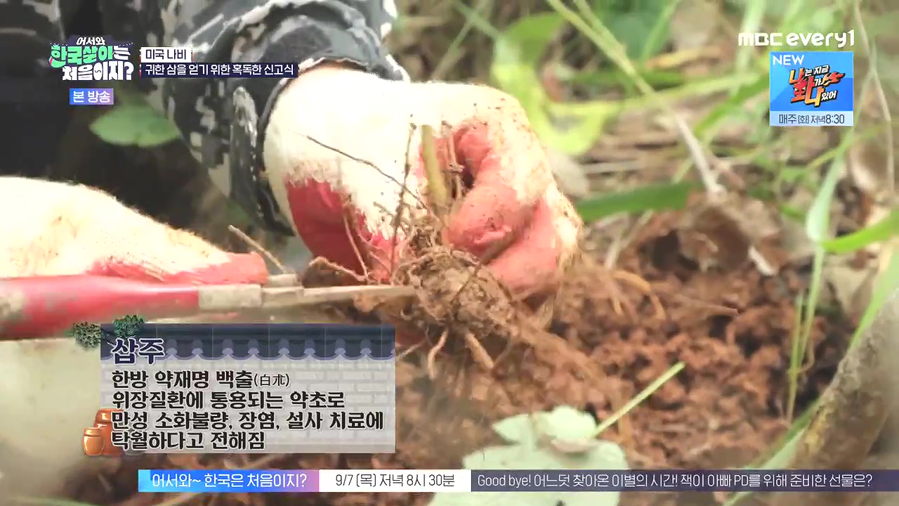 어서와 한국살이는 처음이지.E16.230905p-NEXT.mp4_20230906_203028.694.jpg
