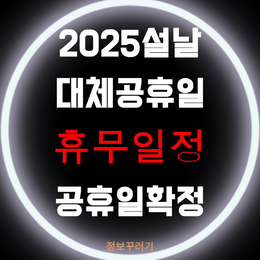 2025 설날 대체공휴일 휴무일정 공휴일지정 확정