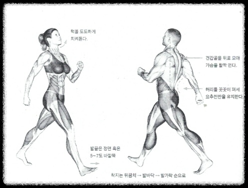 올바른 걷기 자세