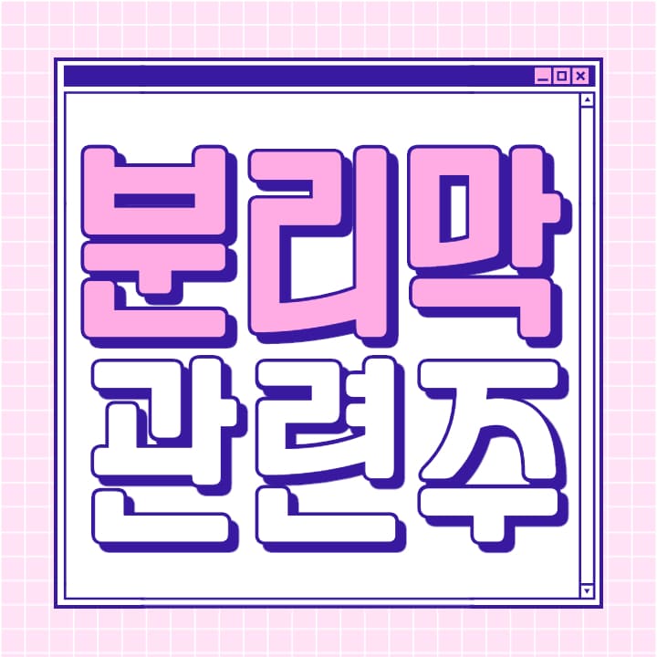  2차전지 분리막 관련주 SKIET 상장 대장주 총 정리