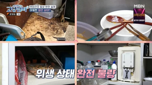  파리 옆에서 분유 타는 '위생 불량' 고딩엄마…"심심해서 출연" (고딩엄빠3)