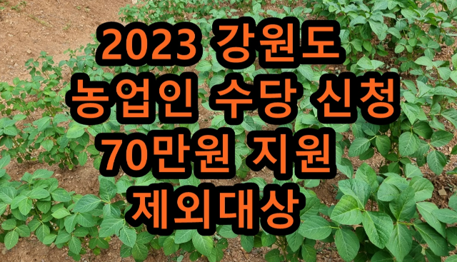 2023 강원도 농업인 수당 신청 70만원 지원 제외대상