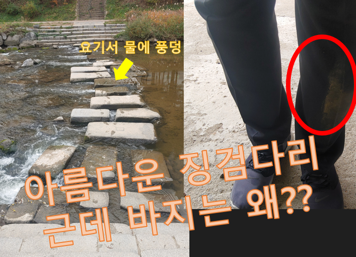  (영상) 징검다리 건너다 물어 풍덩