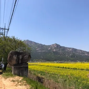 영암 가볼만한곳 베스트10 현지인 추천 필수코스_3