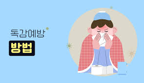 독감 무료 접종