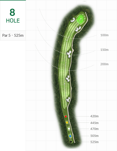 웅진 코스 8 Hole