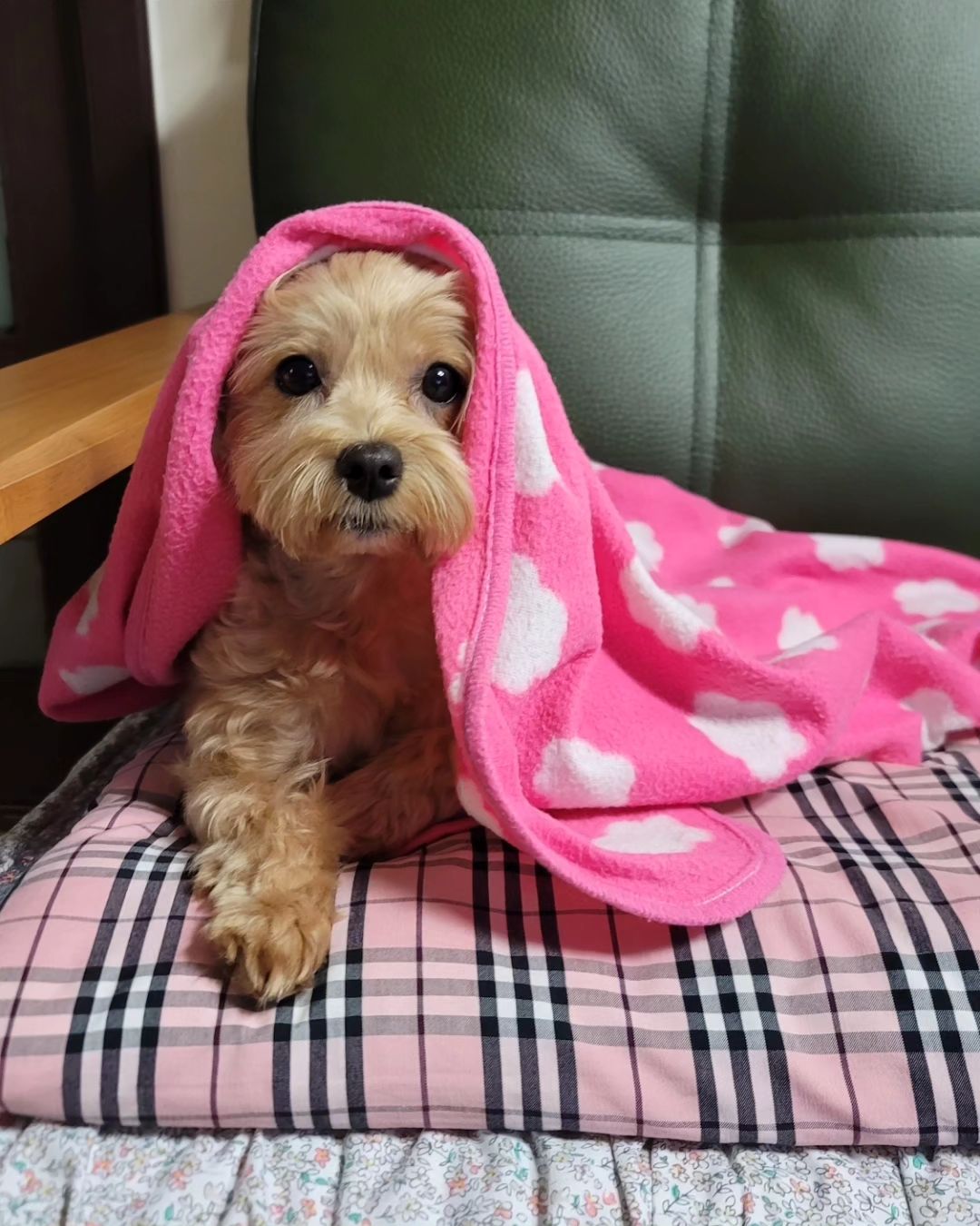 김해준_인스타그램_이미지