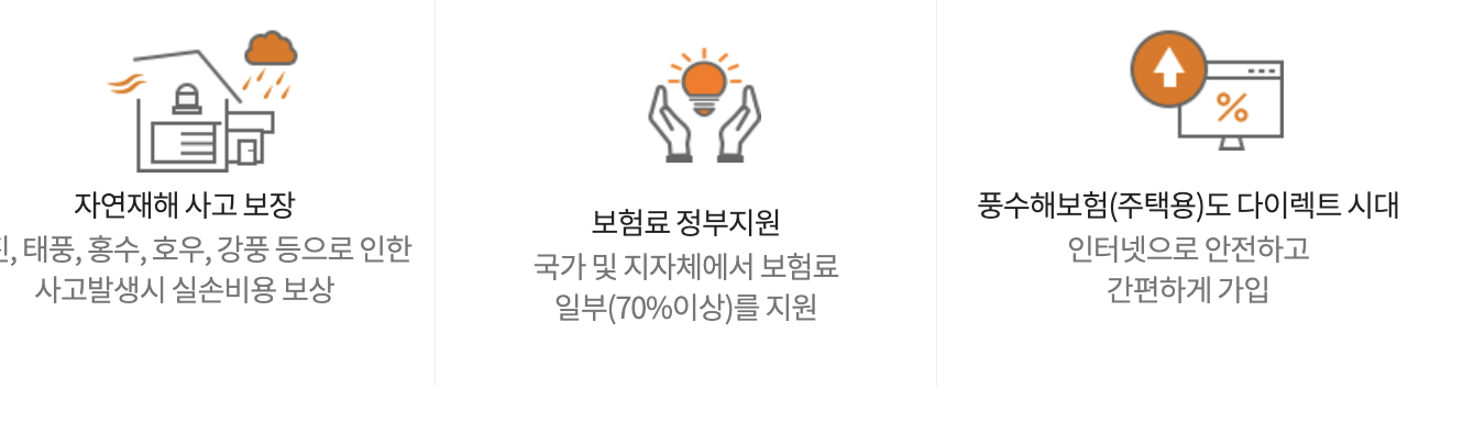 정책보험