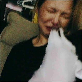  (유머) 강아지 뽀뽀 사진