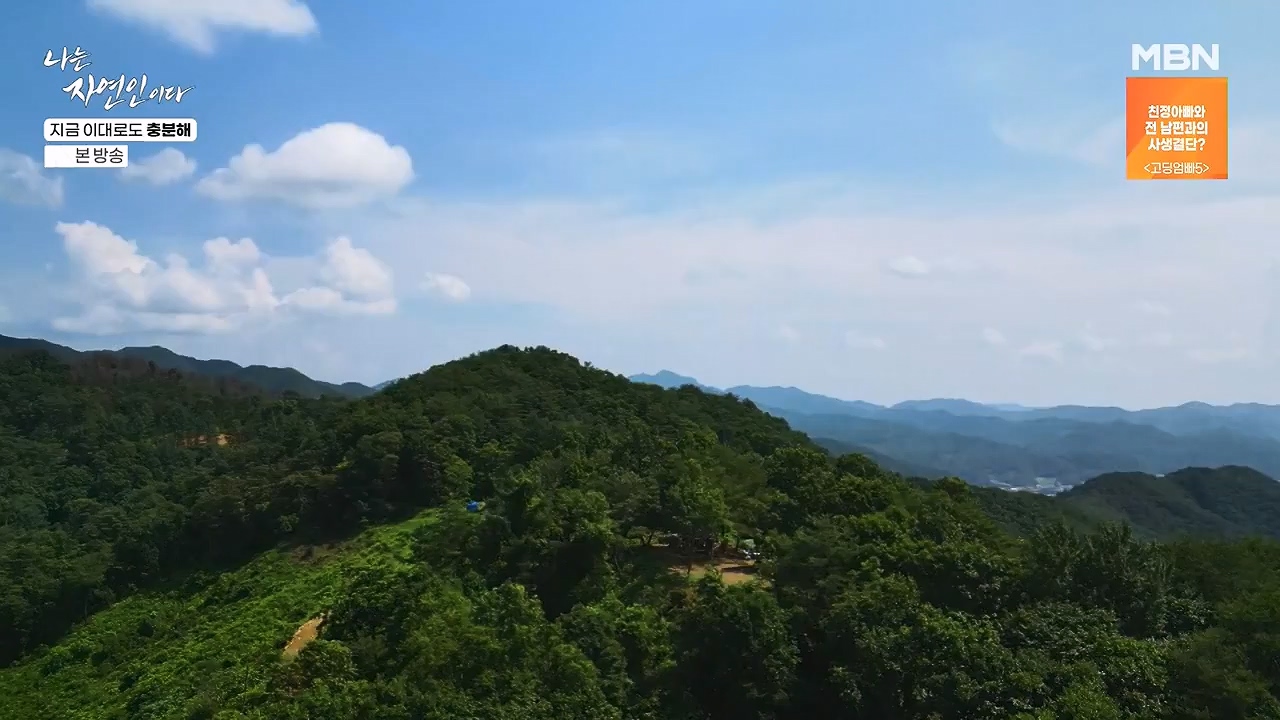 나는 자연인이다.E615.240725p-NEXT.mp4_20240725_200732.932.jpg