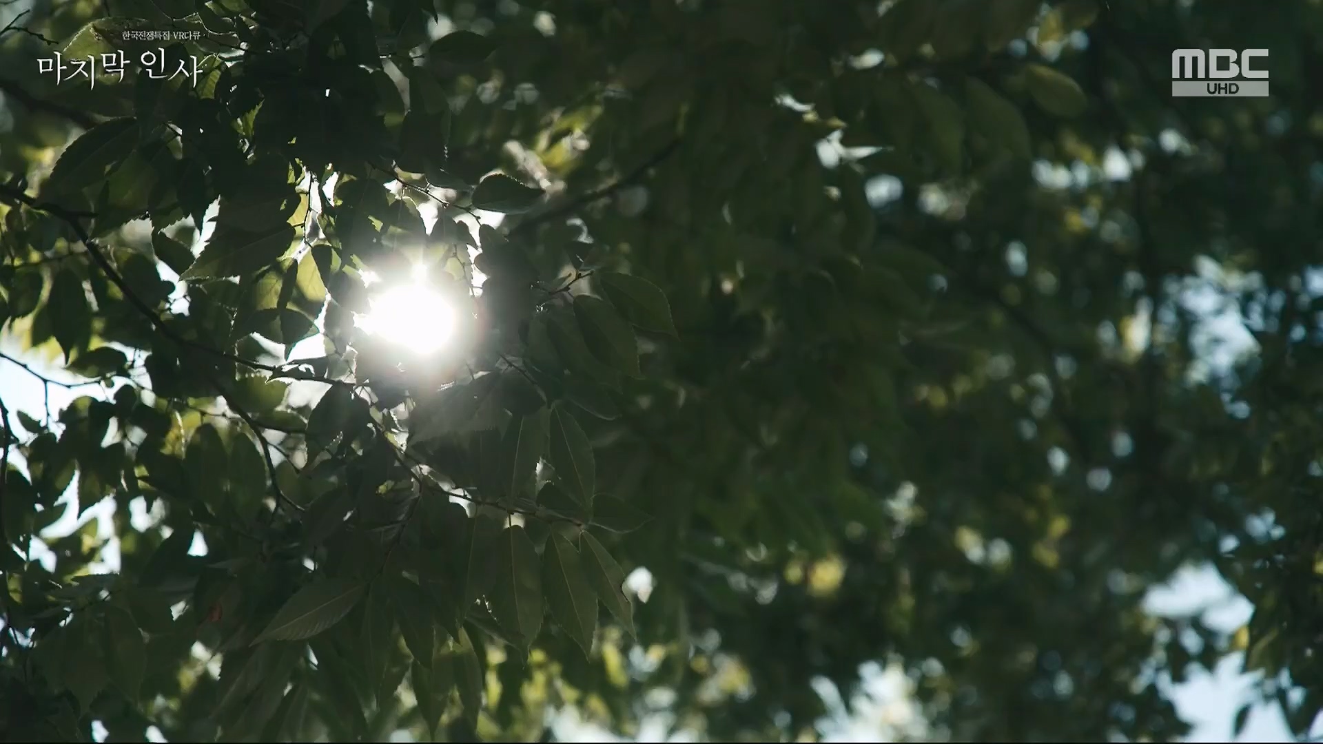 한국전쟁 특집 VR 다큐 마지막 인사.240625p.H264-F1RST.mp4_20240626_200619.901.jpg