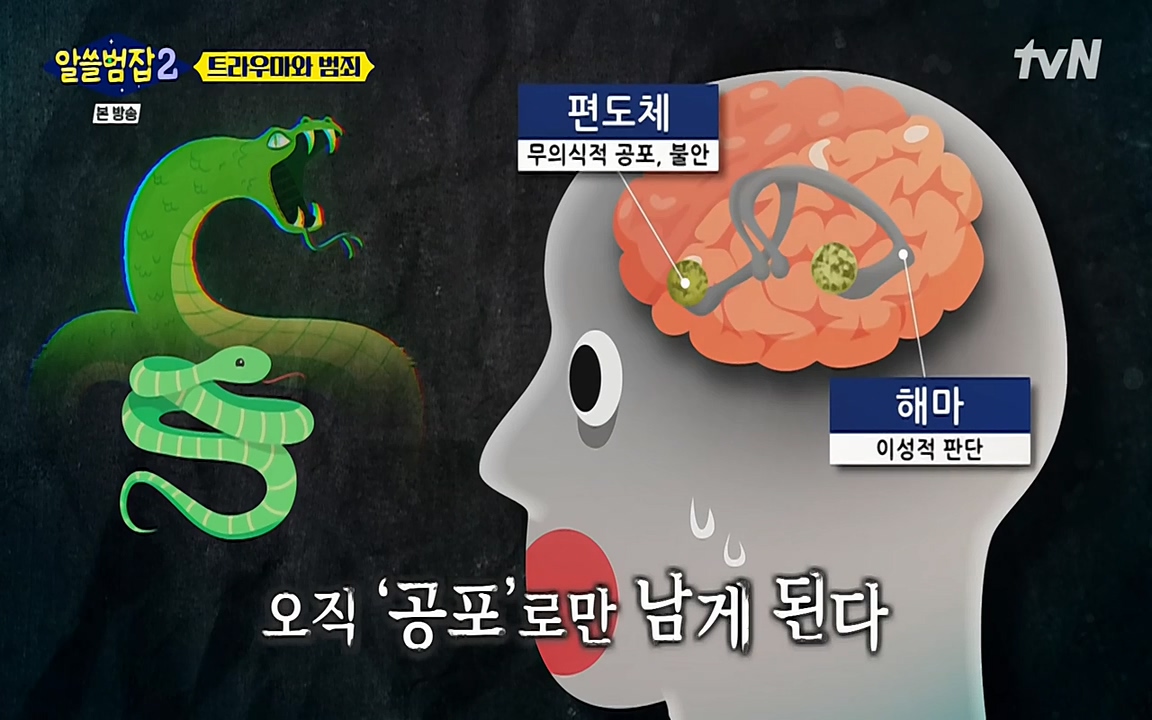 알쓸범잡 2.E11.220321p-NEXT.mp4_20220321_181844.148.jpg