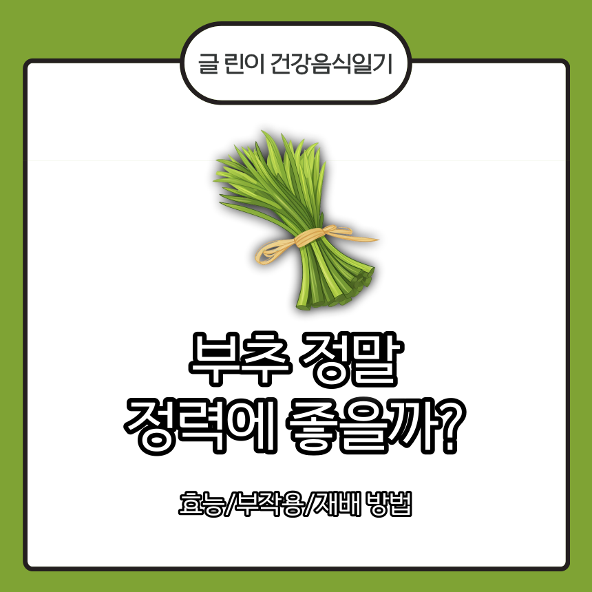  부추 정말 정력에 좋을까? + 효능/부작용/재배 방법