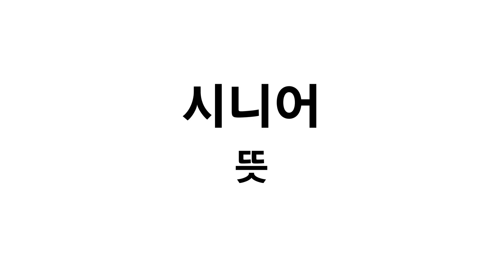 시니어 뜻